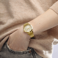 Dámske hodinky Festina 20077/3